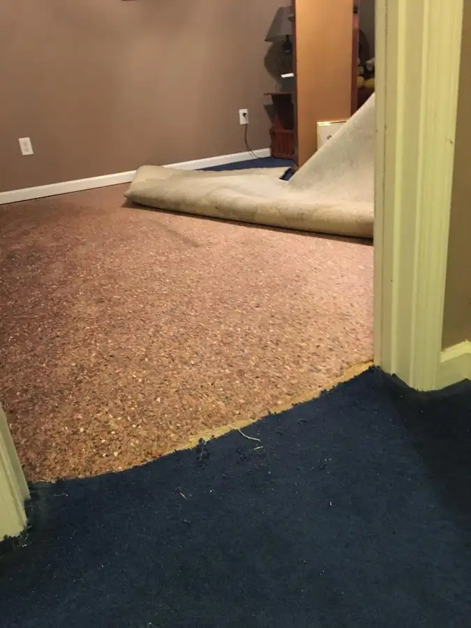 Carpet pad removal revealing water damage during Drying & Dehumidification in Camano