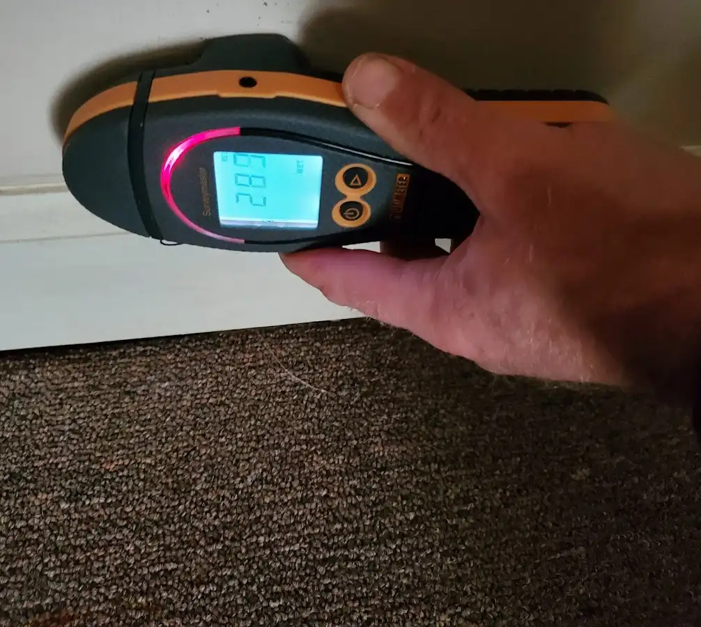 Moisture detection at baseboard during Mold Inspection & Testing in Camano
